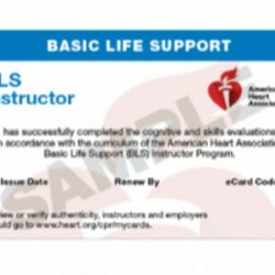 BLS Instructor eCard